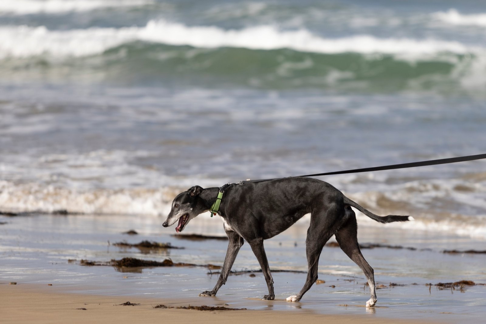 Customer support specialist assisting a Best Doors client